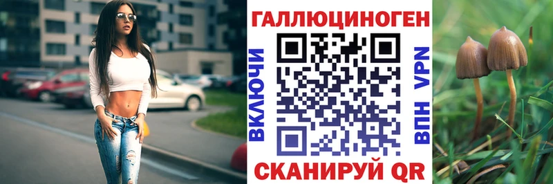 Галлюциногенные грибы GOLDEN TEACHER гидра зеркало Старица купить наркотики сайты